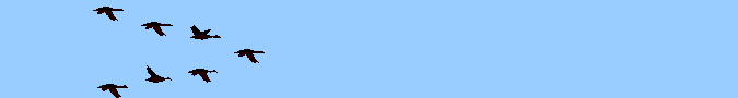 birdscp.gif (14484 bytes)